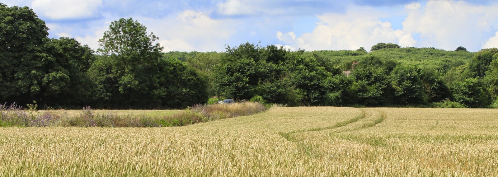 Claire Halas Blog Kent Countryside