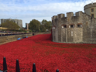 Claire Halas Blog Tower of London Red Poppies